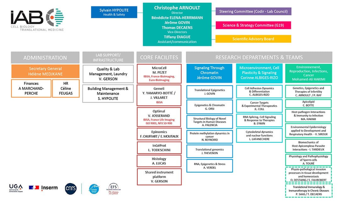 Organigramme de l'IAB