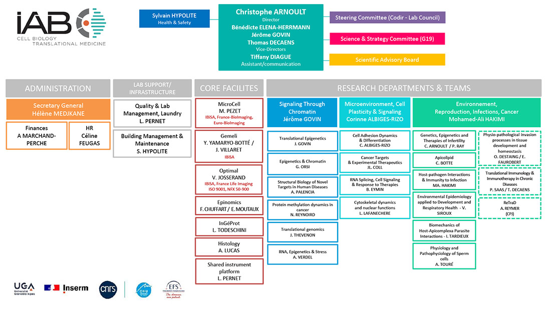 Organigramme de l'IAB
