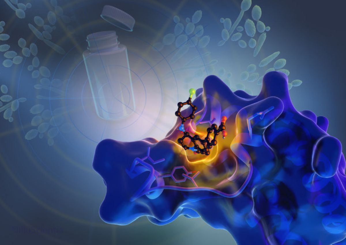 De nouvelles pistes thérapeutiques contre les infections à Candida