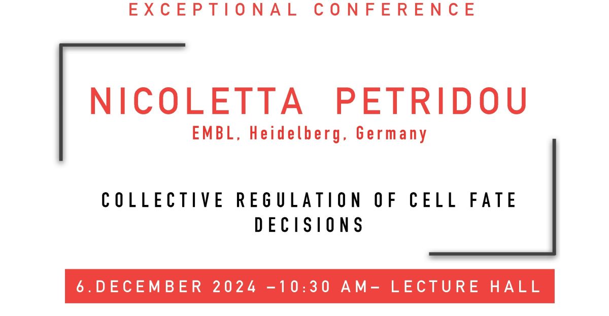 Collective regulation of cell fate decisions