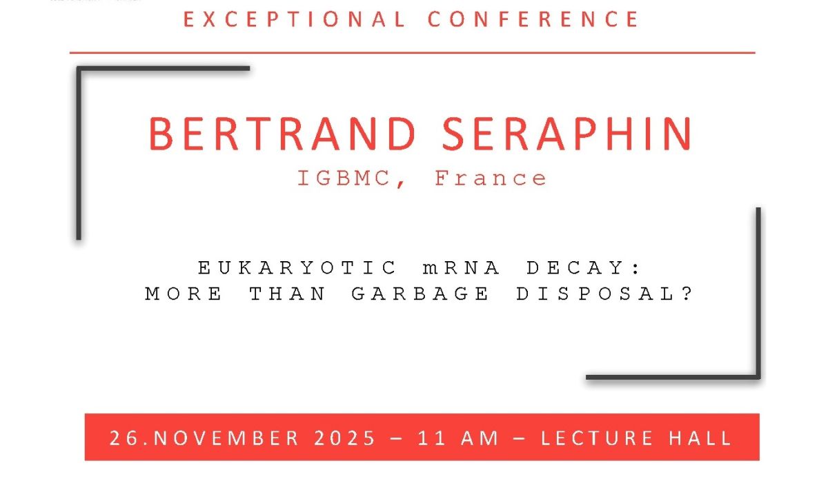 Eukaryotic mRNA decay: more than garbage disposal? 