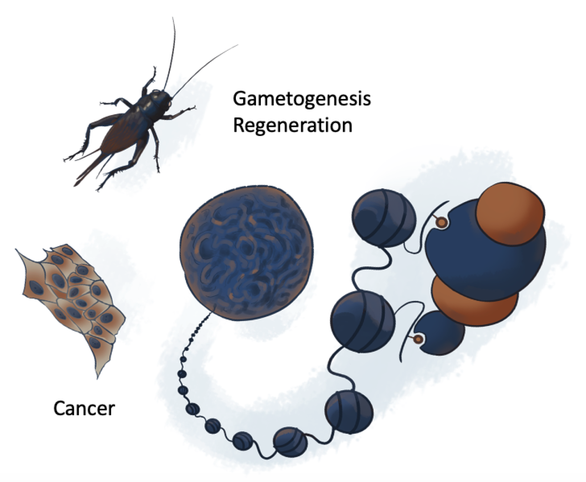 142033-07112025-Screenshot 2025-11-07 at 15.03.54.png